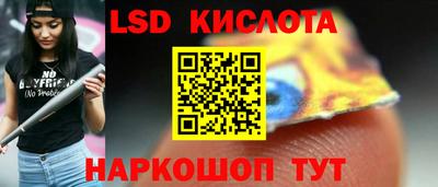 шишки Донской