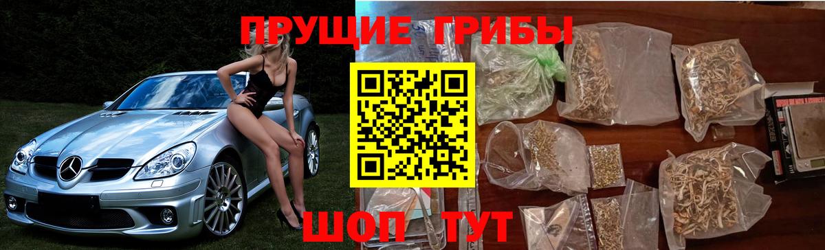 Кимовск  Галлюциногенные грибы мухоморы  купить закладку  Вход с VPN  Галлюциногенные грибы Magic Shrooms 